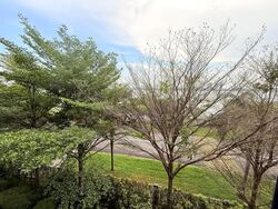 Watercove (D27), Terrace #586655831